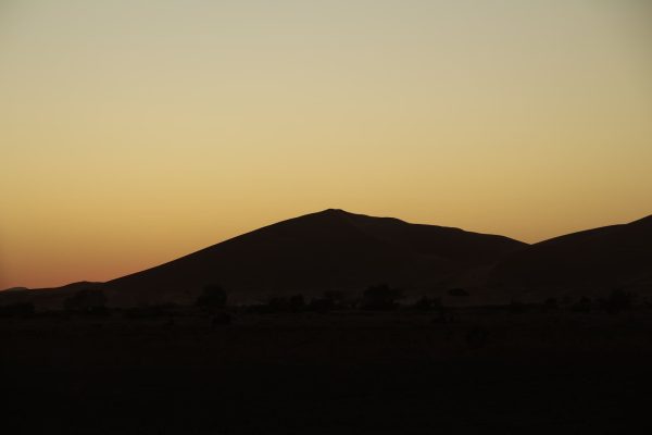paysage